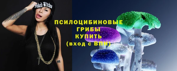 jwh Богородицк