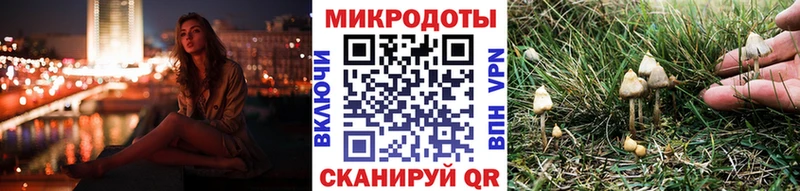 darknet состав  Мезень  Псилоцибиновые грибы мицелий  цена наркотик 